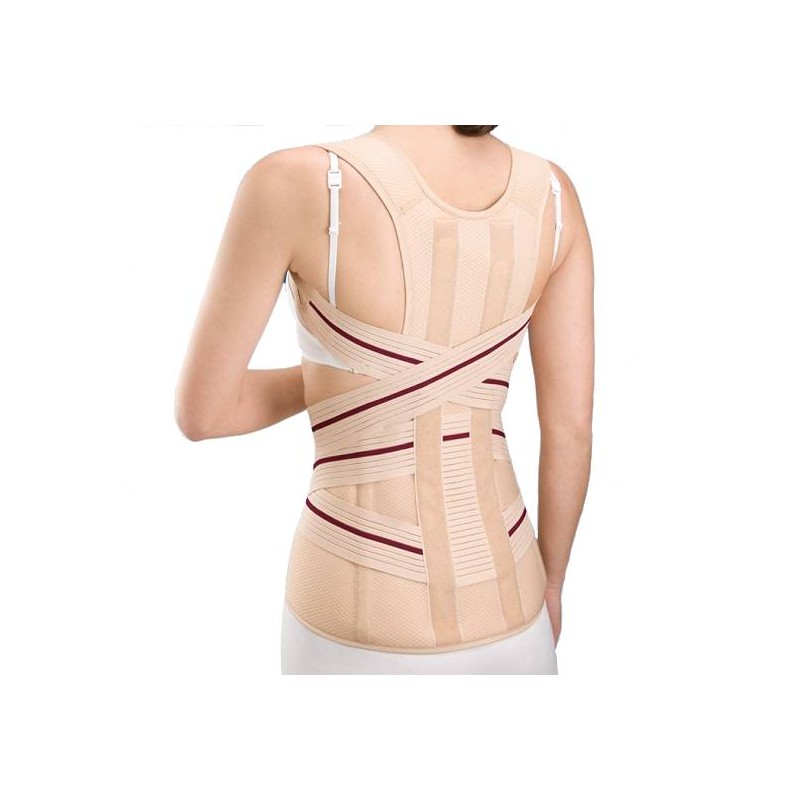 Orliman - Faixa Dorsolombar (T1 ao T5)